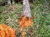 2003_0527_120554AA.jpg